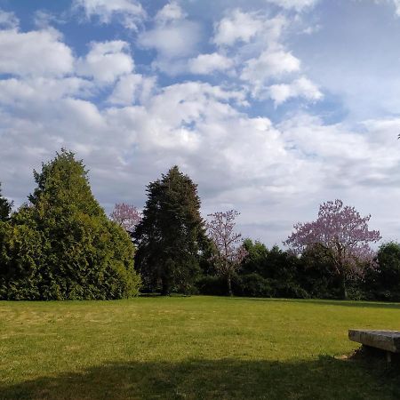 Domaine Moulin D' Elemiah Apartment Gemozac ภายนอก รูปภาพ